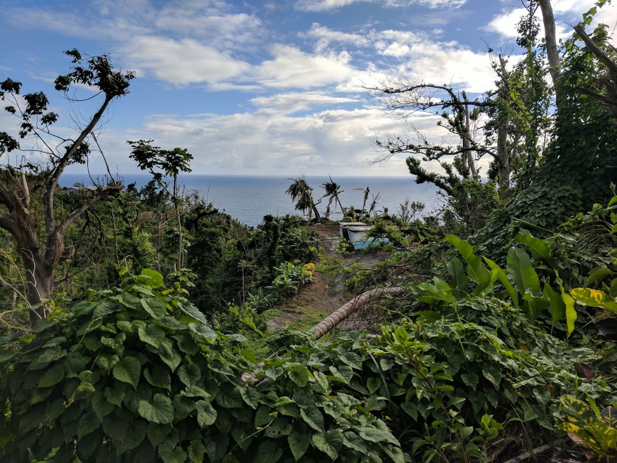 Territorio de Kalinago, Dominica, donde la comunidad aunó esfuerzos para construir invernaderos en los que pudieran germinar semillas para ayudar a restaurar los campos de cultivo que fueron diezmados por el huracán.