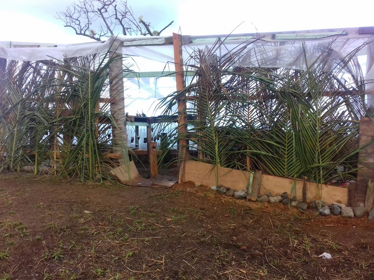 In the months since the project to build greenhouses in the Kalinago territory has started, the simple structures have become a collective rallying point for the community.