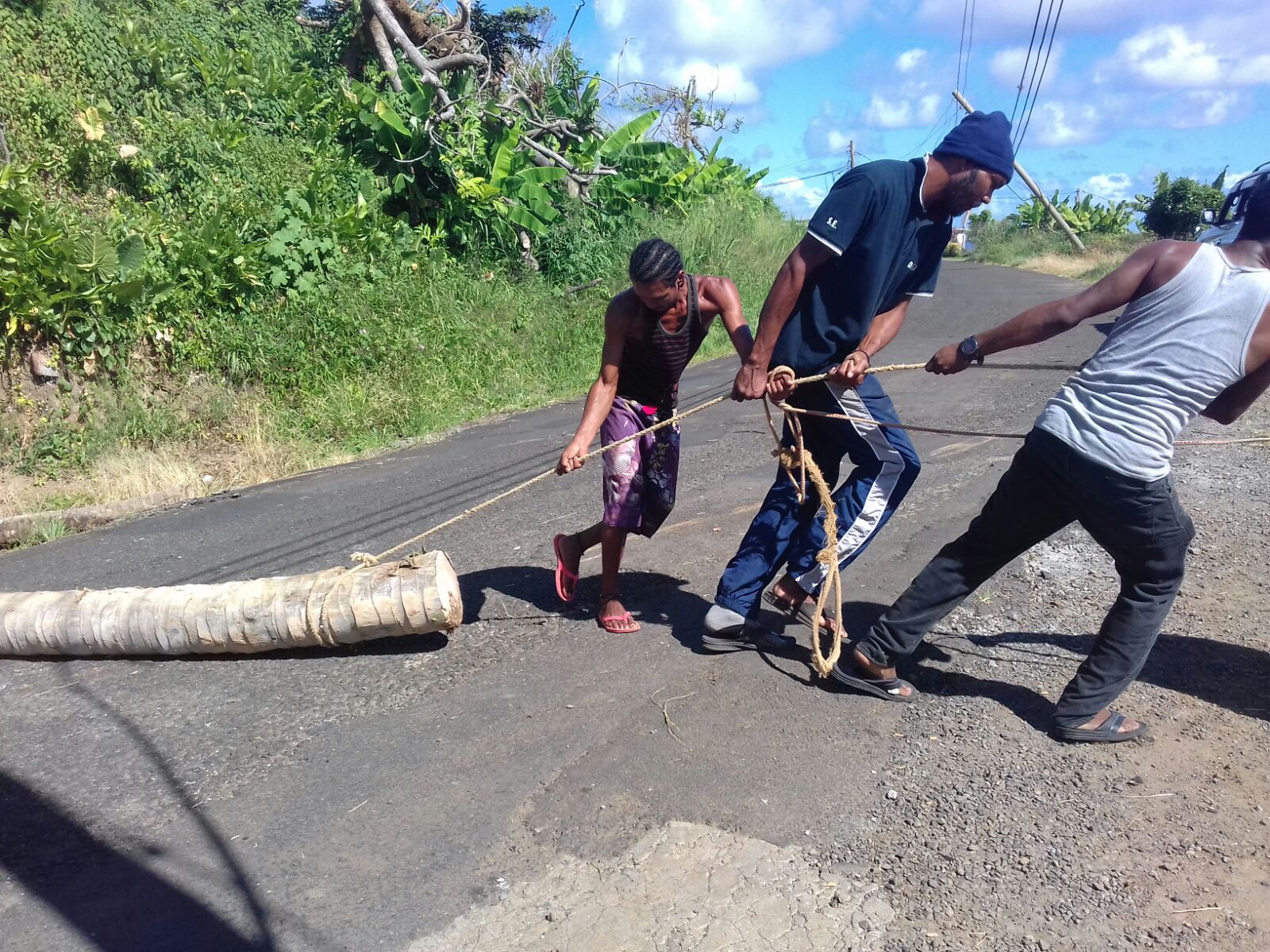 Neighbors worked together from early morning until evening, bringing whatever materials they could spare or salvage and sawing planks from fallen coconut palms to help build greenhouses in which seeds could be sprouted.