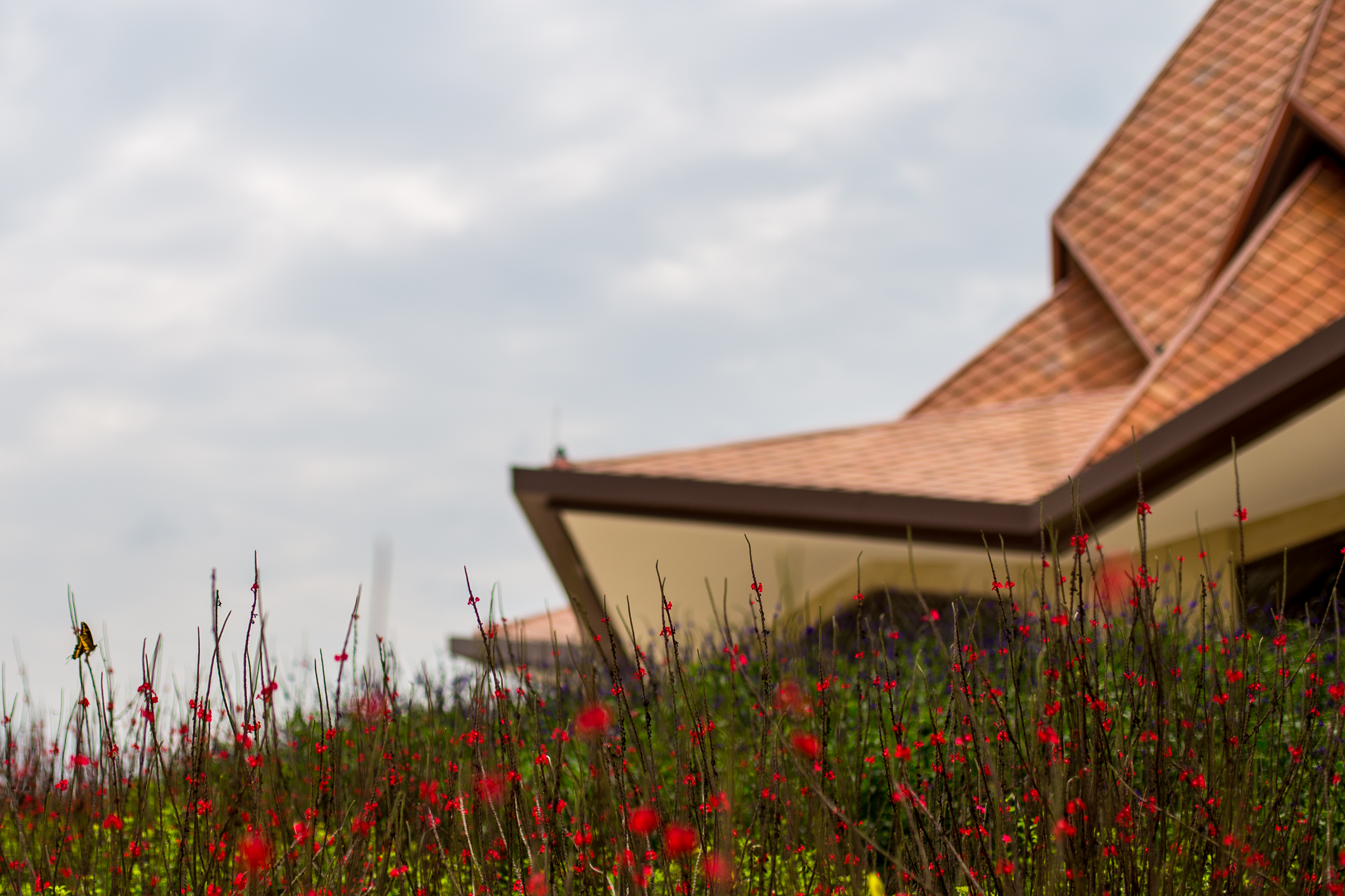 The House of Worship is surrounded by flowers native to the region.