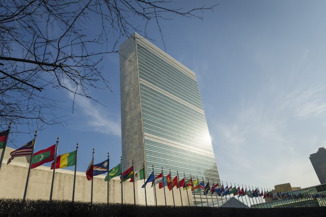 La Tercera Comisión de la Asamblea General de las Naciones Unidas pidió a las autoridades iraníes que pusieran fin a las actuales violaciones de los derechos humanos de los bahá'ís en Irán.