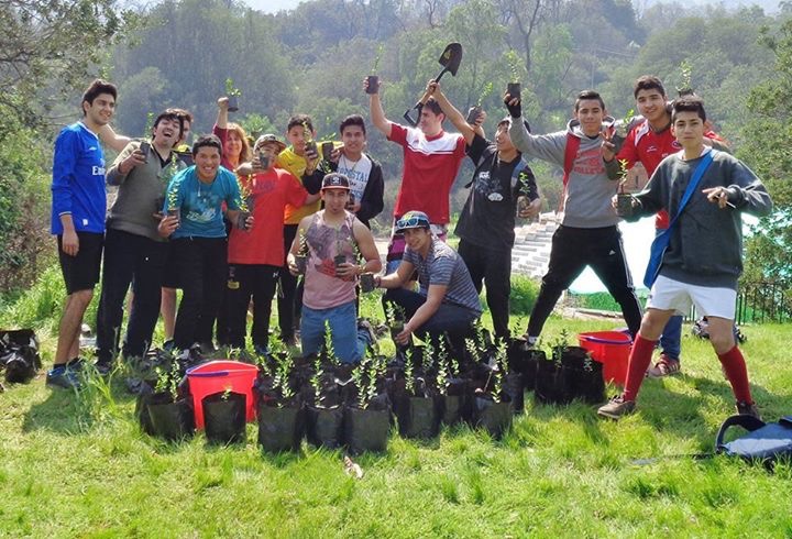 For the last several years, volunteers have been contributing to a tree-planting project at the site of the Baha’i Temple in Santiago, Chile.