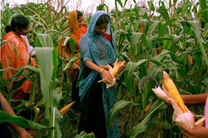 Mr. Hanley’s article discusses the centrality of agriculture to human development. This photo shows participants learning about agriculture at the Barli Development Institute for Rural Women in Indore, India, a Baha’i-inspired development organization mentioned in the article.