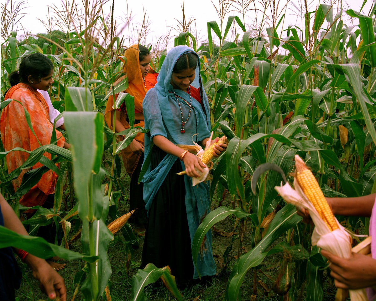 El artículo del Sr. Hanley analiza la importancia fundamental de la agricultura para el desarrollo humano. Esta foto muestra a las participantes aprendiendo sobre agricultura en el Instituto de Desarrollo Barli para Mujeres Rurales en Indore, India, una organización de desarrollo de inspiración bahá'í mencionada en el artículo.