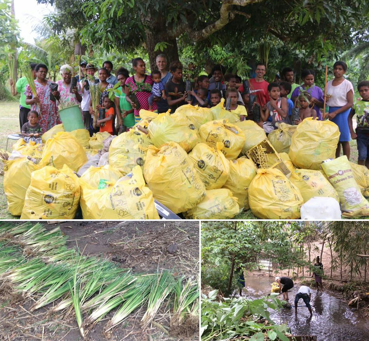 As part of initiatives to mark the bicentenary in a suburb of Port Vila, Vanuatu, friends, neighbors, and government officials collaborated to clean a river, clearing trash from the channel and planting riverbank grasses to prevent soil erosion.