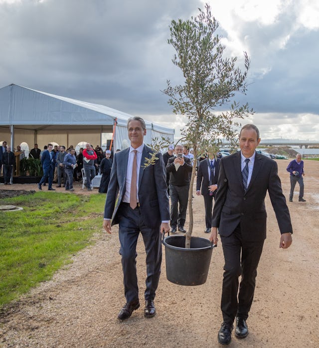 Shimon Lankri, Mayor of Akka, and David Rutstein, Secretary-General of the Baha’i International Community, carry an olive tree during a ceremony coinciding with the start of the construction of the Shrine of ‘Abdu’l-Baha.