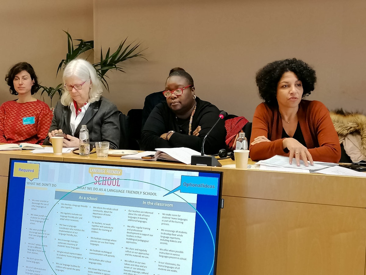 Various organizations attending the European Parliament panel discussion provided insights and perspectives into the critical issue of language and identity, themes which occupy a central place in contemporary discourses across Europe.