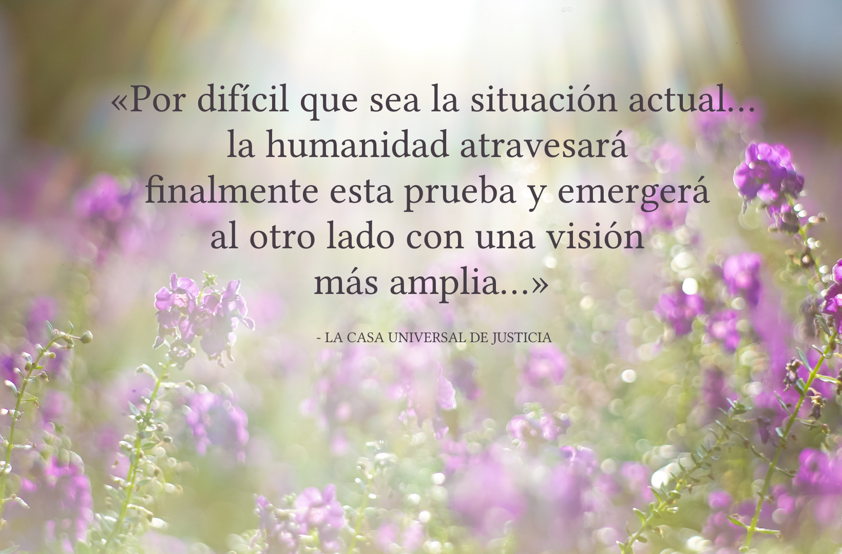 Las comunidades bahá’ís de todo el mundo celebran el año nuevo reforzando los lazos de amistad y ofreciendo un mensaje de esperanza.