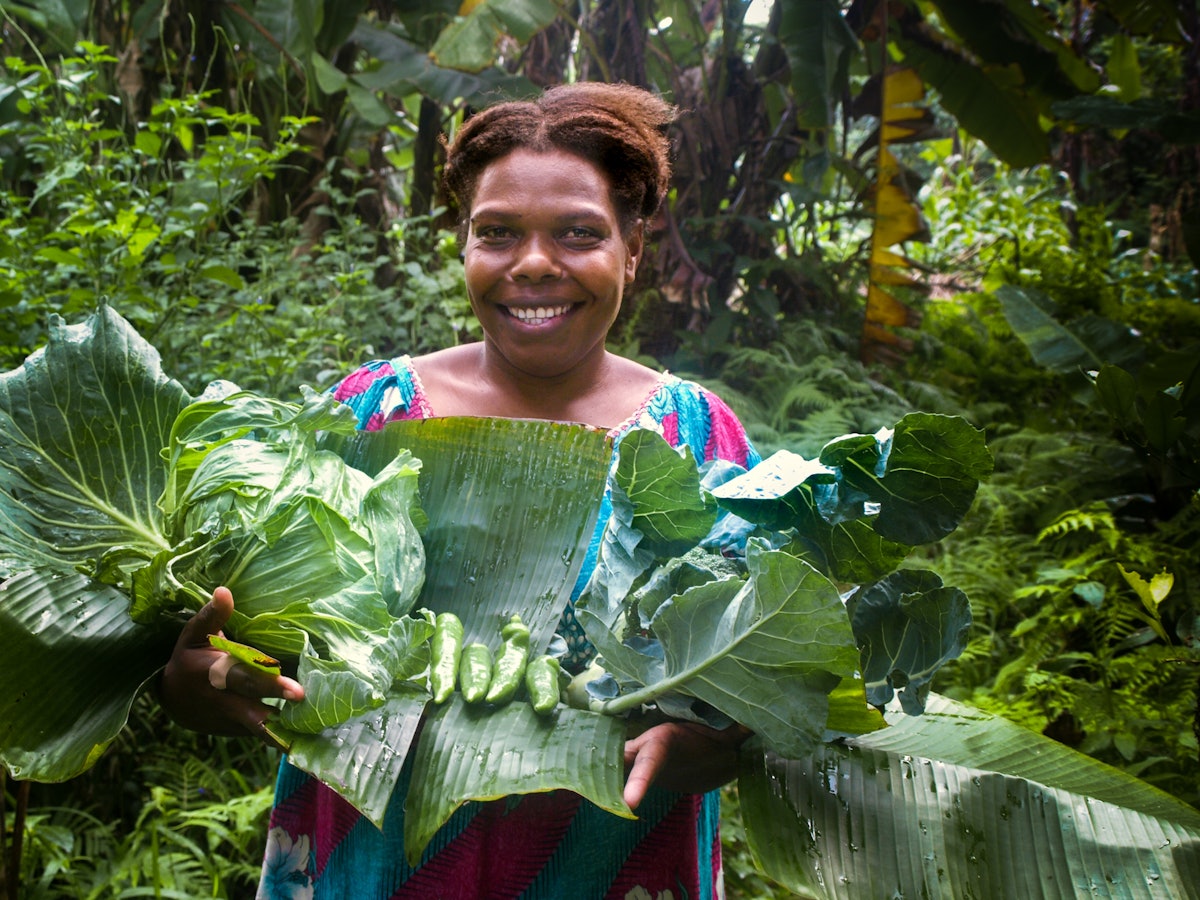 Los participantes en un programa educativo de inspiración bahá'í llamado Preparación para la Acción Social en Vanuatu han tomado medidas para garantizar el suministro de alimentos para sus conciudadanos.