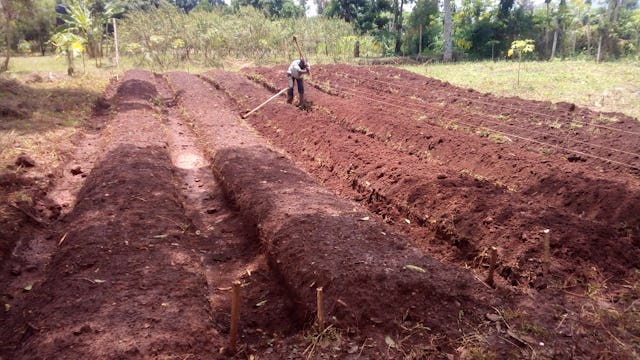 A group of participants in Uganda—with support from the Kimanya-Ngeyo Foundation, which implements the program in the country—is making use of local radio to promote awareness about food production.