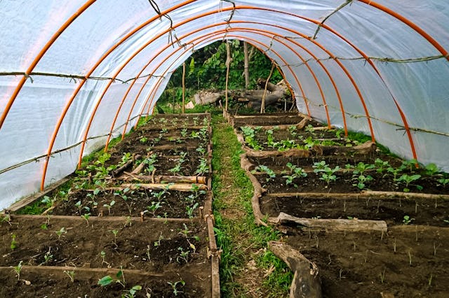A covered nursery used for agricultural training in the Preparation for Social Action program, in Vanuatu. With the support of the Foundation for the Betterment of Society, a group of women on Tanna Island who participate in the program built a similar structure in their community, enabling them to protect seedlings from volcanic ash-fall and provide for neighbors who lost their crops.