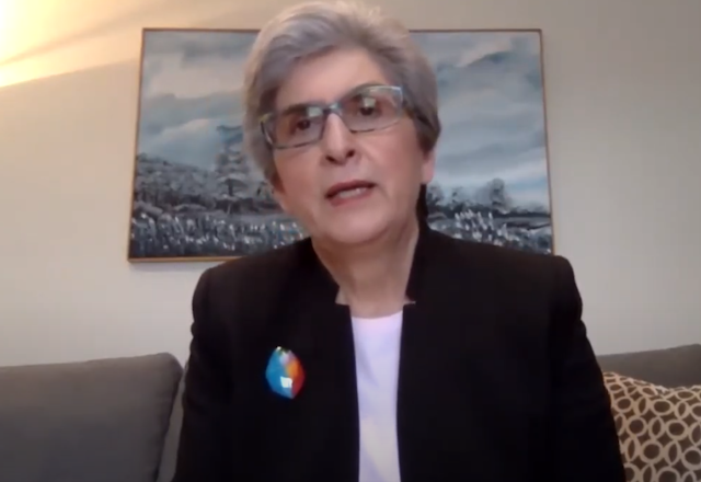 “The current global health crisis… shows how individuals, communities, institutions, and governments must come together to address a common concern. … The same is true for climate change,” said Hoda Mahmoudi, holder of the Baha’i Chair for World Peace, at a recent online conference.