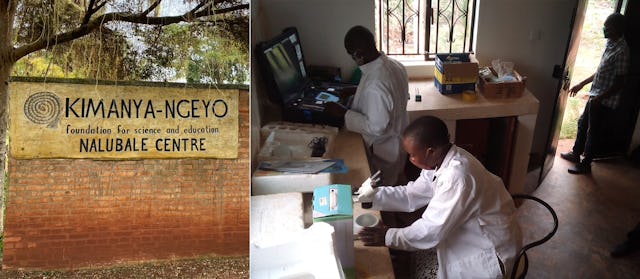 Construction d’une « tour d’alimentation » au centre de formation de la fondation Kimanya-Ngeyo pour la Science et l’éducation, une organisation d’inspiration bahá’íe en Ouganda.