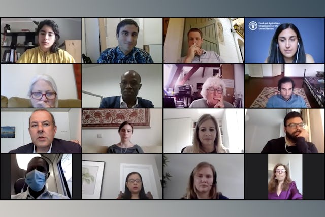 Some of the participants at an online discussion hosted by the Brussels Office of the Baha’i International Community (BIC) and the Food and Agriculture Organization of the United Nations, bringing together over 80 policymakers and other social actors from Africa and Europe to explore links between European agricultural policies and the adverse drivers of migration in Africa.