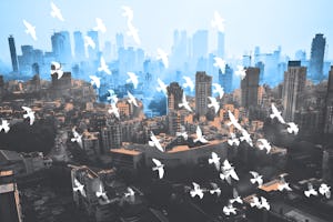 هدف کرسی بهائی مطالعات در زمینۀ توسعه در دانشگاه دوی آهیلیا در هندوستان ارتقای فهم جدیدی از ماهیت انسان در تفکر توسعه است -فهمی که متوجه شرافت همهٔ انسانها بوده و از تک تک آنها در مقابل تعصب و پدرمآبی محافظت کند.