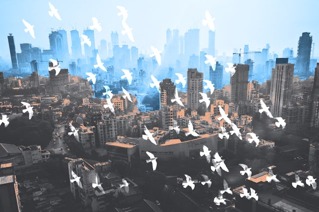 The Baha’i Chair for Studies in Development at Devi Ahilya University, India, aims to promote a new conception of human nature—one that sees the nobility of every human being and protects each one against prejudice and paternalism—in development thinking