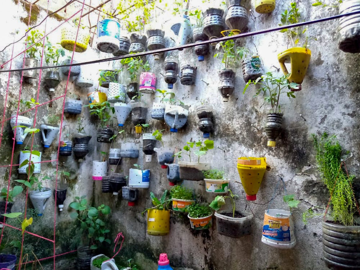 A family in Puerto Tejada, Cauca, Colombia made use of limited space by growing herbs and vegetables in recycled containers hung from a wall.