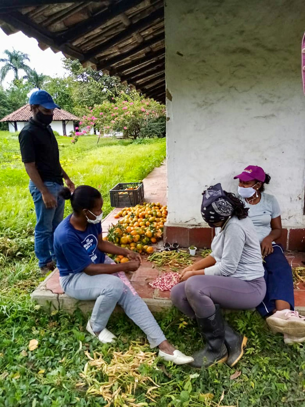 At a facility of the University Center for Rural Wellbeing in Perico Negro, Cauca, Colombia, a group of friends has been learning to cultivate various crops on a 2 hectare site, providing some 50 families with access to healthy food.