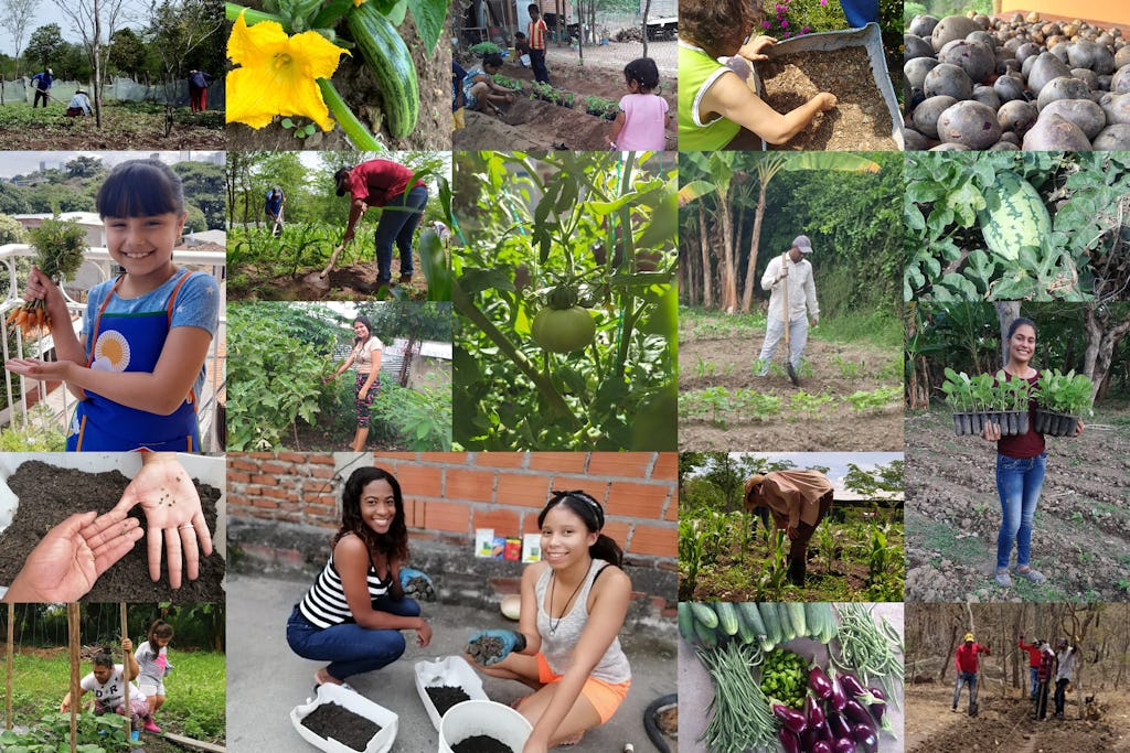 تصاویر خانواده‌‌هایی را نشان می‌‌دهد که با یکدیگر مشغول کار هستند. فوندائیک (FUNDAEC)، سازمانی الهام گرفته از آموزه‌های آئین بهائی در کلمبیا، با درک این که این بحران پیامدهای بلندمدت خواهد داشت، به بررسی این پرداخت که چگونه می‌تواند هنگام نیاز شدید، خدمتی عملی به اجتماع ارائه بدهد. از ماه مارس این سازمان به بیش از ۱۵۰۰ نفر در سراسر کشور کمک کرده است تا در حدود ۸۰۰ پروژهٔ کشاورزی شرکت ‌کنند.