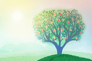 A seminar held by the Bahá’í Office of Public Affairs in India looked at reconceptualizing the institution of the family based on the Bahá’í principle of equality between women and men.