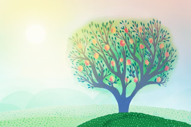 Gender Equality Families As Basis For Change Bwns