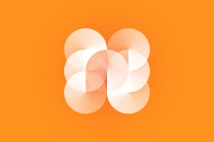 Bahá’ís of Tunisia hold a gathering on coexistence and citizenship, bringing together officials and representatives of religious communities to mark UN Human Rights Day.