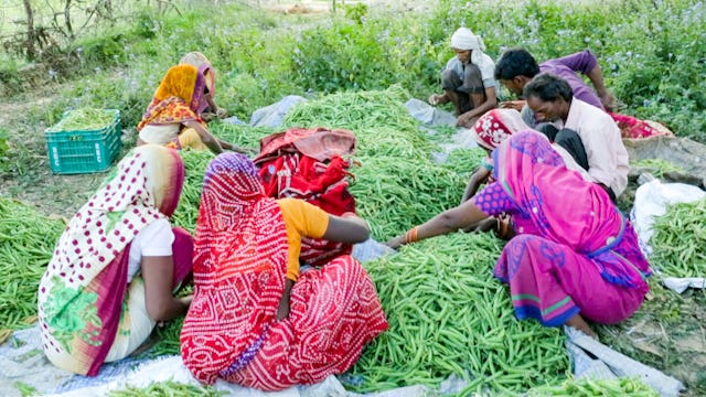 Photographie prise avant la crise sanitaire actuelle. Les participants au séminaire ont noté que l’un des principaux problèmes posés par les politiques qui encouragent la monoculture est que les agriculteurs ont tendance à se concentrer sur les cultures de rente, à l’exclusion des plantes comestibles qui fournissent une riche source de nutriments et font partie de l’alimentation d’une région.