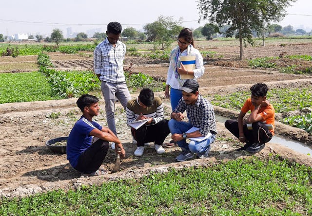 Fotografía realizada antes de la actual crisis sanitaria. La Comunidad Bahá’í de la India lleva años realizando actividades para promover la agricultura local como medio para afrontar los desafíos socioeconómicos. En la imagen, participantes del programa de inspiración bahá’í Preparación para la Acción Social estudian técnicas para la agricultura local.