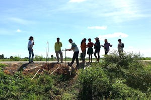 The efforts of young adolescents to improve air quality and provide shelter from the heat had the added benefit of preventing a patch of road from eroding when floods hit.