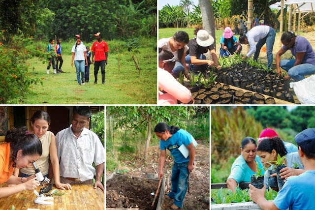 Participantes en diferentes proyectos agrícolas de comunidades bahá'ís de diferentes países.