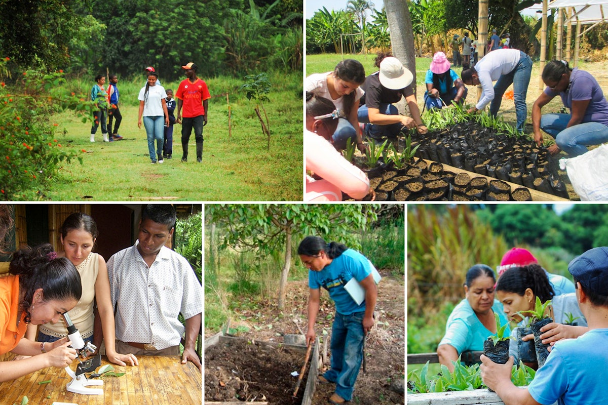 People engaged in different agricultural initiatives of Bahá’í communities in different countries.