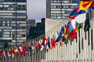 مجمع عمومی سازمان ملل متحد از ایران می‌خواهد که حقوق بشر را برای همهٔ شهروندانش از جمله پیروان دیانت بهائی رعایت کند.