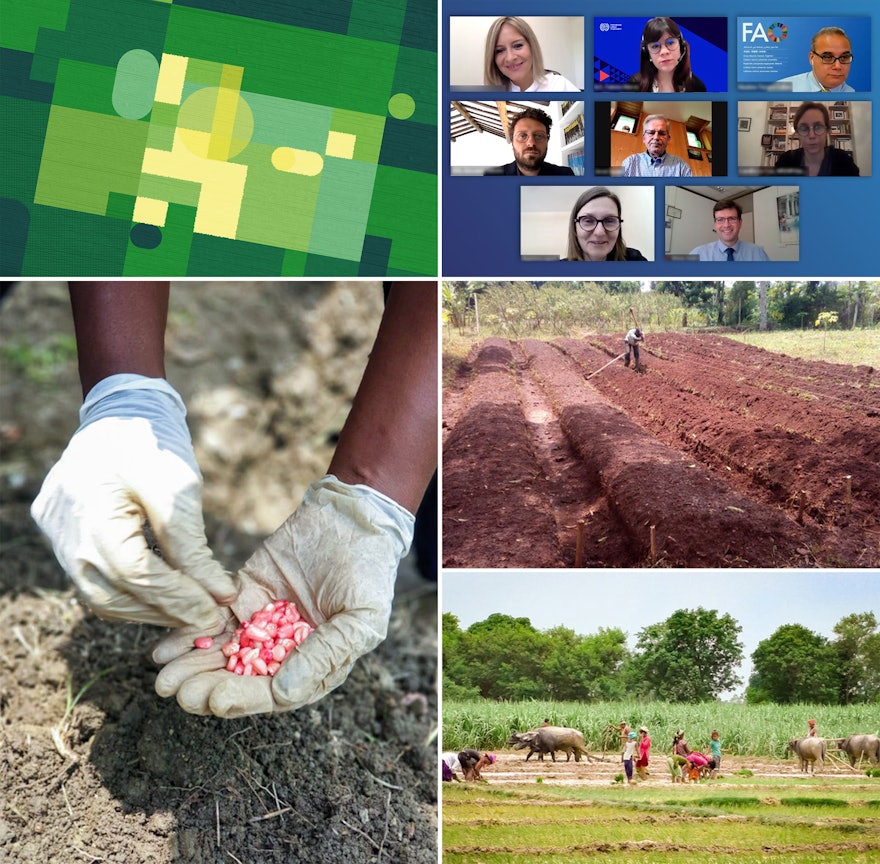 La Oficina de Bruselas de la CIB y la Organización de las Naciones Unidas para la Agricultura y la Alimentación iniciaron una serie de seminarios para examinar la relación entre la agricultura, la sostenibilidad rural y las migraciones.