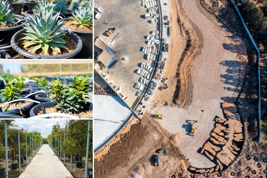 Another notable development at the site is the landscaping work on the gardens that will surround the Shrine. Seen here are some of the plants (left) that are being grown at an off-site nursery and a winding garden path (right) that is being laid out on the east side of the Shrine.