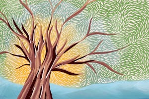 The BIC explores the disproportionate impact of climate change on women, emphasizing the principle of equality of women and men as key to discussions on climate issues.