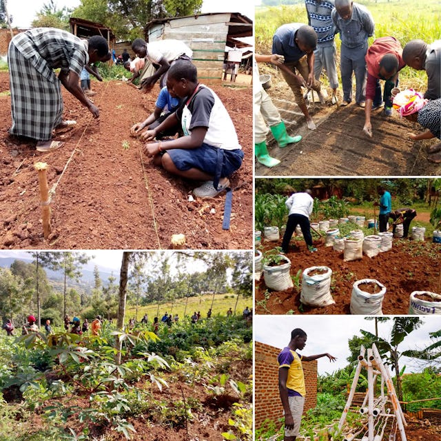 Initiatives agricoles d’organisations d’inspiration bahá’íe dans la région du Nord-Kivu en République démocratique du Congo.