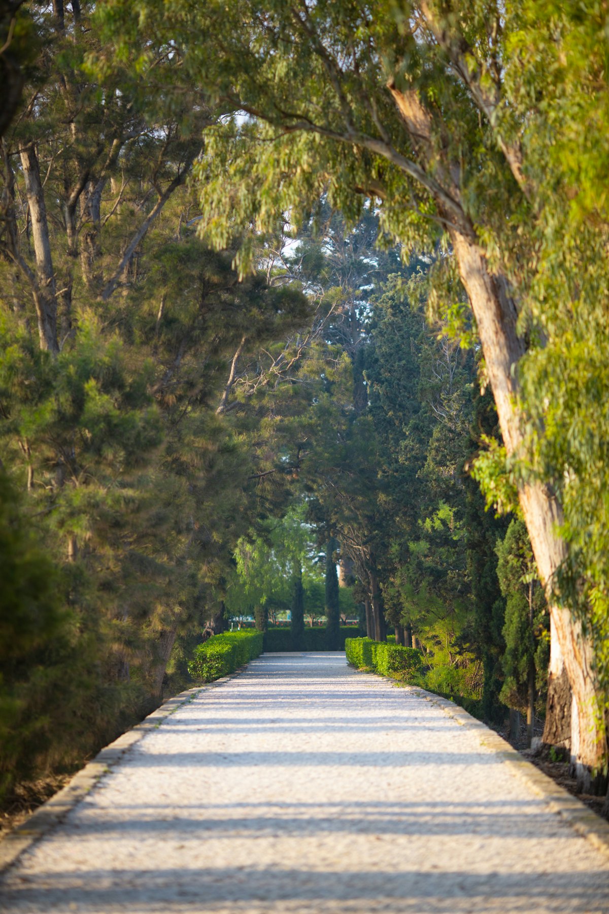 El sendero antiguo que conduce al Jardín de Riḍván y la puerta del Santuario de ‘Abdu’l‑Bahá.