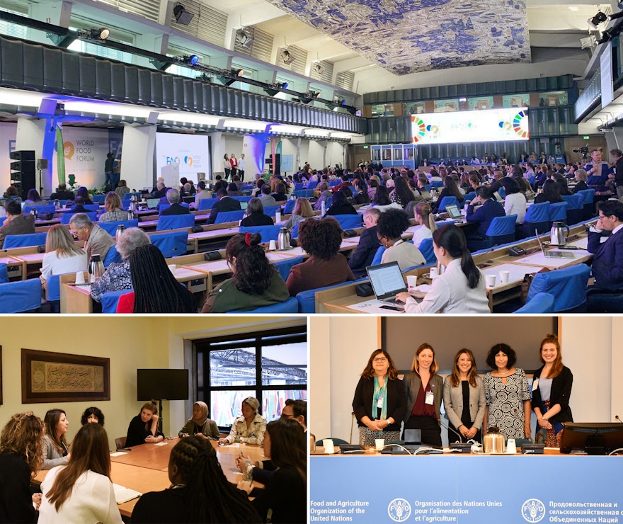 The BIC hosted a panel discussion at the United Nations Food and Agriculture Organization (FAO) headquarters to examine the role of education in addressing the challenges facing young small-scale farmers in rural areas.