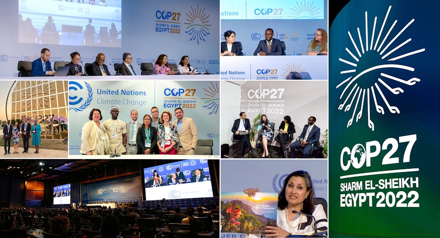 Delegaciones de varias oficinas de la CIB asistieron a la cumbre sobre el clima COP27 en Egipto.