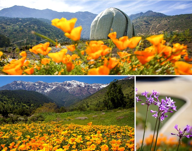 نمایی از معبد بهائی در شیلی و طبیعت اطراف آن.