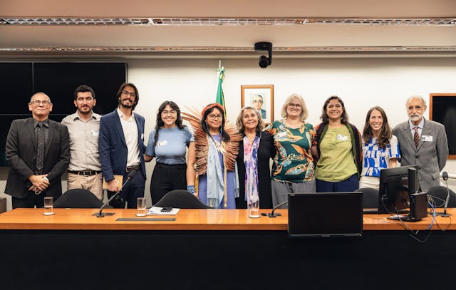 Foto de grupo en el que aparecen algunos de los participantes en la audiencia pública celebrada en el Congreso Nacional de Brasilia (Brasil).