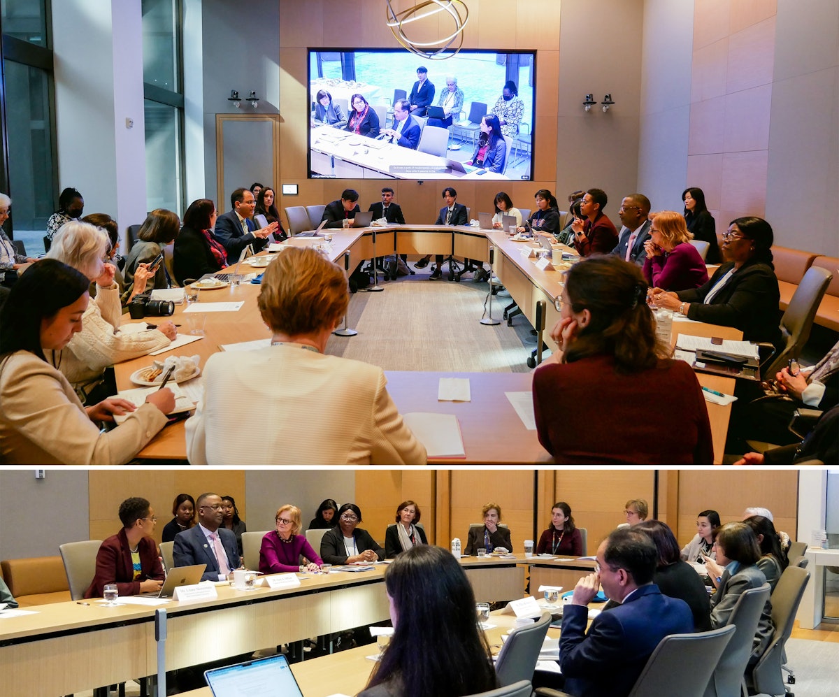 The BIC partnered with the United Nations NGO Committee on Ageing to host a side event to the Commission, focused on reimagining the future of work to meet the needs of humanity.