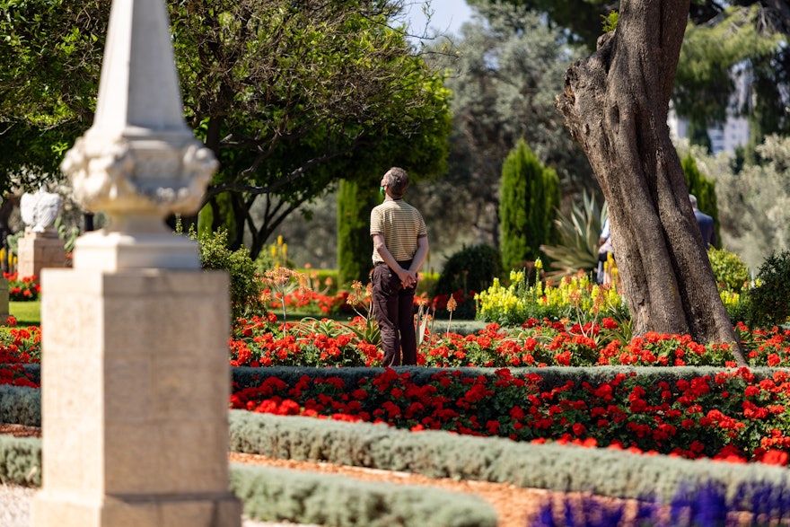 A delegate prays in the gardens surrounding the Shrine of Bahá'u'lláh.