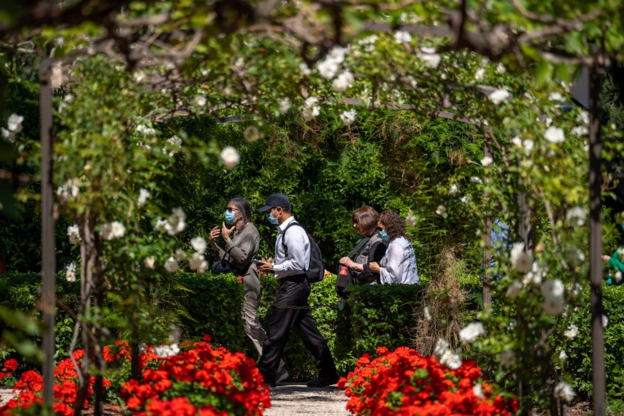 نمایندگان در باغ‌های بیت حضرت عبدالبهاء قدم می‌زنند.