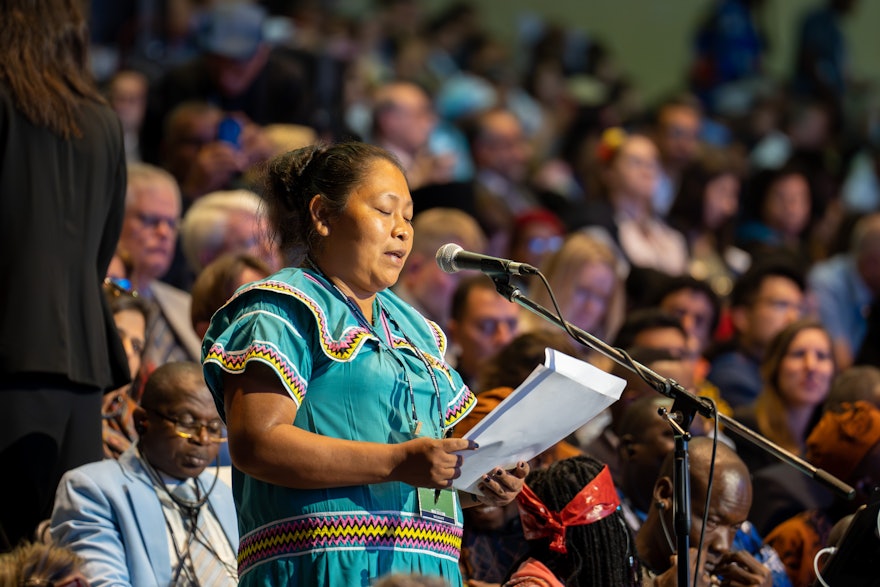 A delegate from Panama.