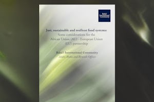 A new BIC statement offers considerations for fostering a sustainable, equitable global food system, calling for a deep examination of systemic challenges. 