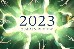 Alors que 2023 touche à sa fin, le *Bahá’í World News Service* revient sur les aperçus des contributions  de la communauté mondiale bahá’íe au progrès social.