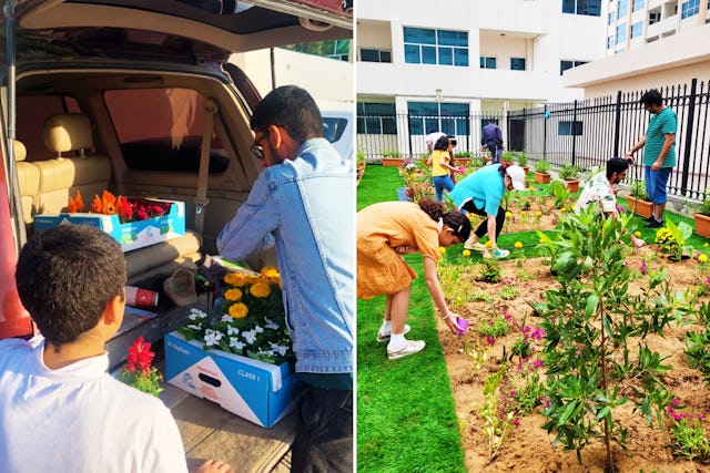 The youth-led community garden project features a variety of fruits, vegetables, and flowers.