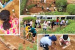 United Arab Emirates: Youth cultivate community spirit in new garden 
