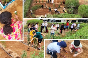 جوانان شرکت‌کننده در فعالیت‌های جامعه‌سازی بهائی، پروژه‌ باغچه‌ محلی را هدایت می‌کنند که موجب تقویت روابط میان اعضای جامعه و بهبود محیط محلی‌شان می‌شود.
